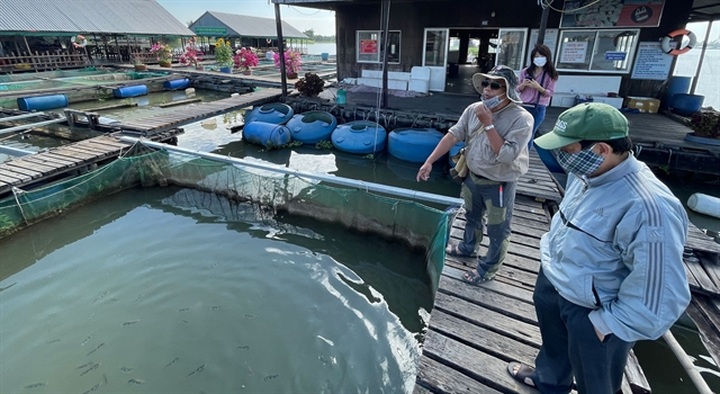 Mekong River's water level in red alert due to hydroelectric dams - 1