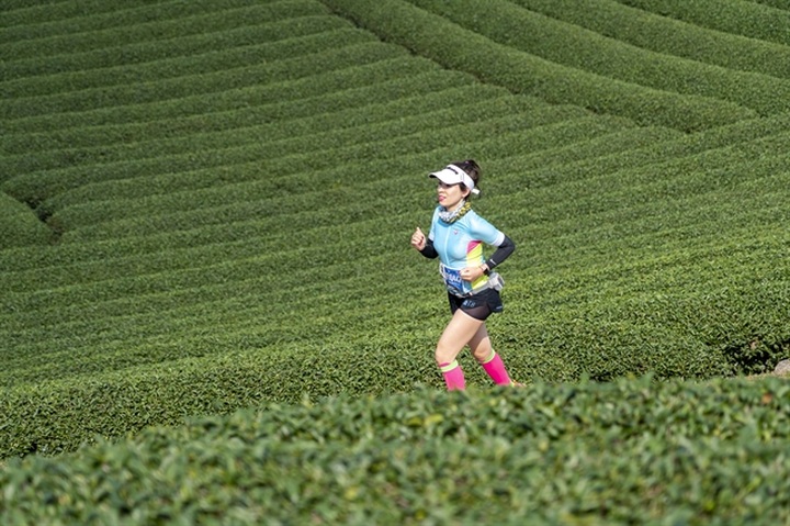 Mộc Châu hosts Vietnam Trail Marathon in harvest season - 1 Mộc Châu hosts Vietnam Trail Marathon in harvest season - 1