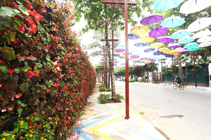 Hanoi reopens Trinh Cong Son Walking Street - 2