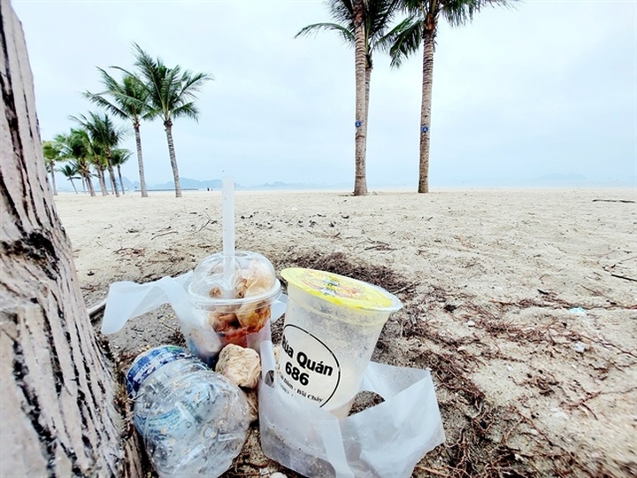 Workshop calls for action against plastic waste in Hạ Long Bay - 1