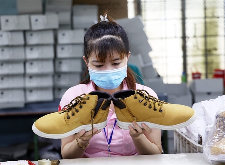 Newly established firms jump by record in first eight months - 1