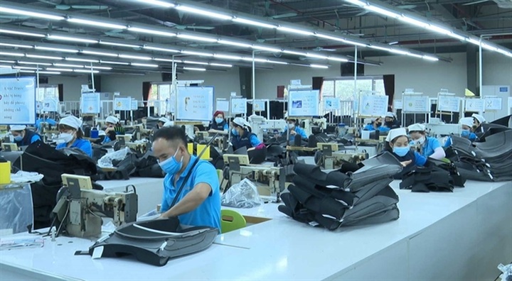 Governance management of Vietnamese enterprises is still low: experts - 1 Governance management of Vietnamese enterprises is still low: experts - 1