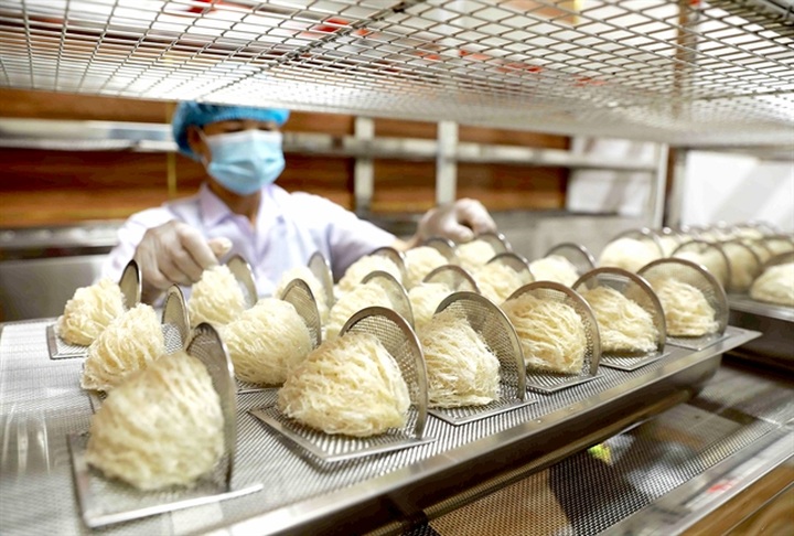 Vietnam bird's nests to enter Chinese market through official channel - 1