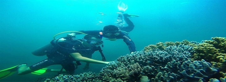 Sea and islands tourism to stimulate recovery - 2