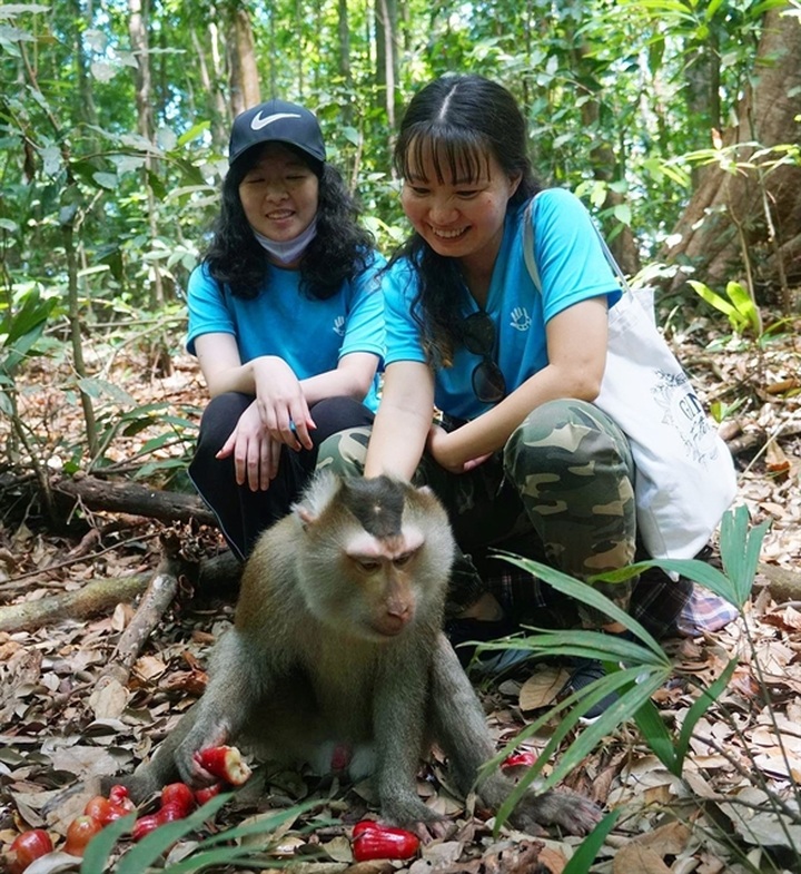 Animals of 14 rare species released into Bù Gia Mập National Park - 1