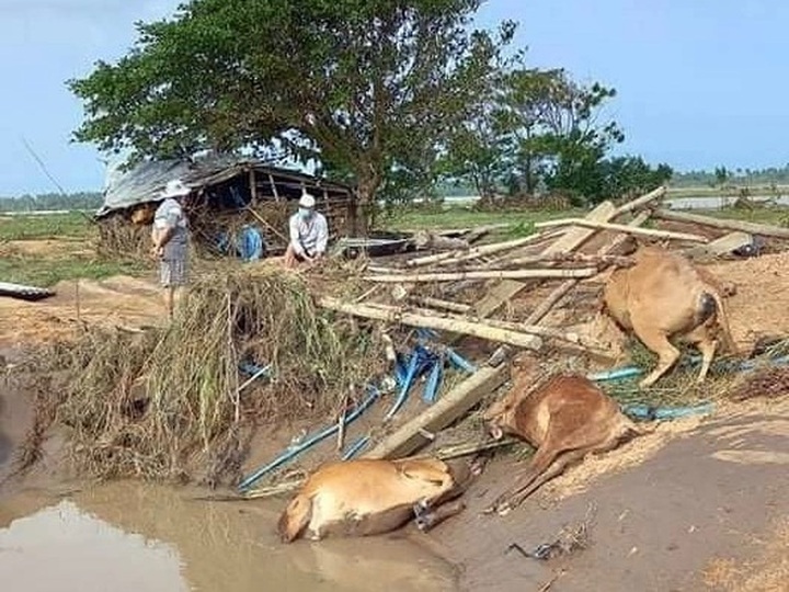 Thousands of southern central region flood victims in need of support - 3