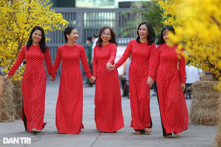 Tet Festival opens in HCM City - 4