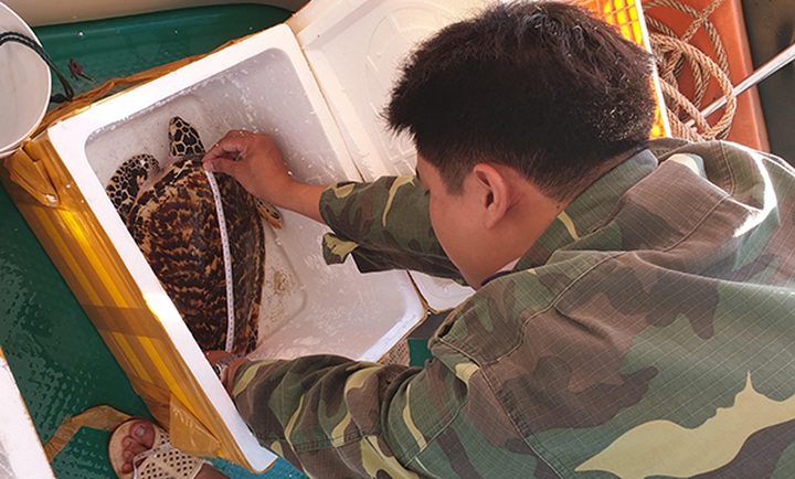 Management board tries to keep Côn Đảo National Park clean - 1 Management board tries to keep Côn Đảo National Park clean - 1