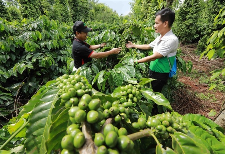 Practical incentives needed to help firms adopt green practices: official - 1