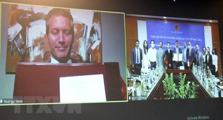 Vietnam - Chile Free Trade Agreement creates momentum for trade growth - 1