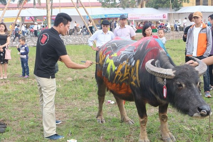 Buffalo painting contest held in Ha Nam - 3