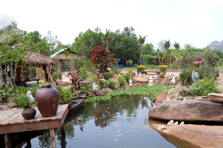 Official's son found destroying protective forest - 1