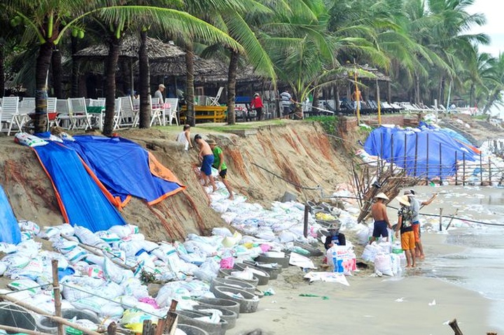 Dutch experts suggest ways to save Hoi An beach - 2 Dutch experts suggest ways to save Hoi An beach - 2