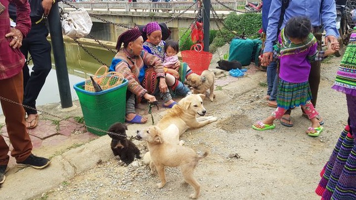 Children carried by mothers at Bac Ha Market - 11