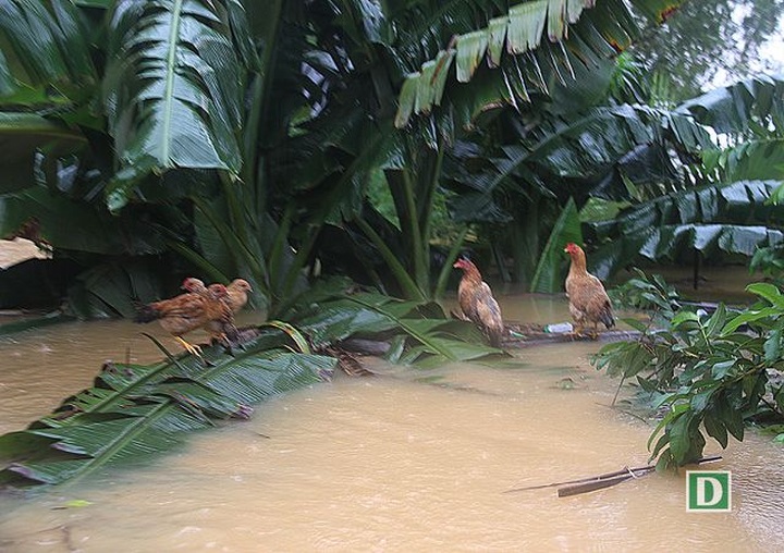 Many communes in Ha Tinh under water - 15