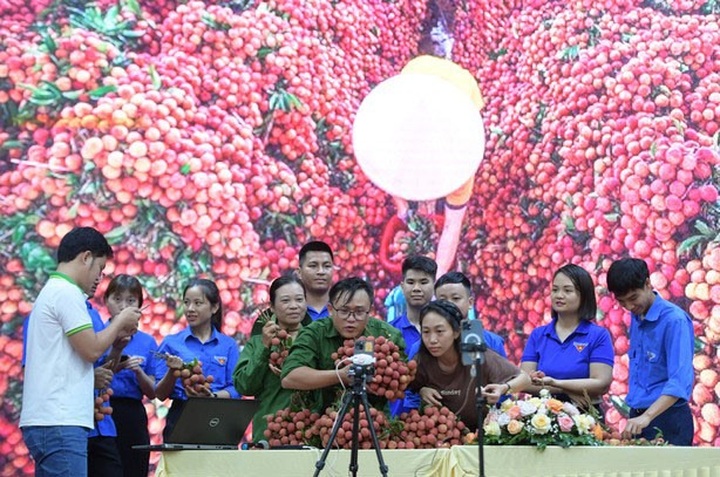 Tiktokers promote Bac Giang lychees - 1 Tiktokers promote Bac Giang lychees - 1