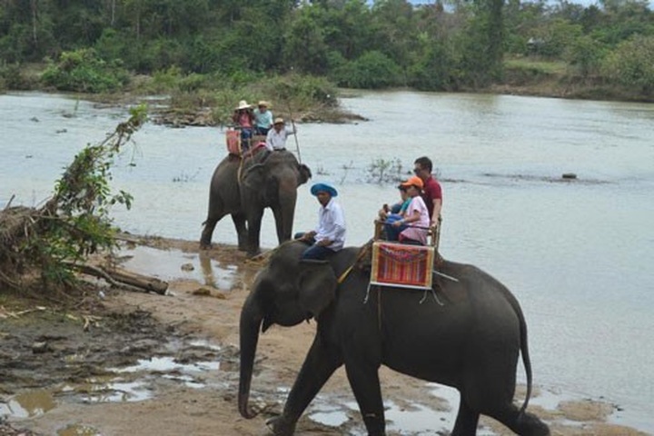 AAF to fund USD2 million for elephant-friendly tourism model in Dak Lak - 1
