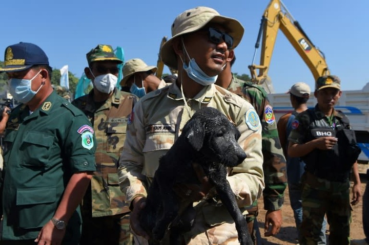 Cambodia building collapse death toll hits 36 as rescue called off - 1