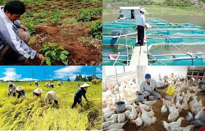 Vietnam’s agriculture continues to grow in 2019 - 1