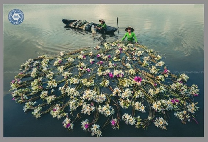 HCM City to host first International Photography Festival 2022 - 1