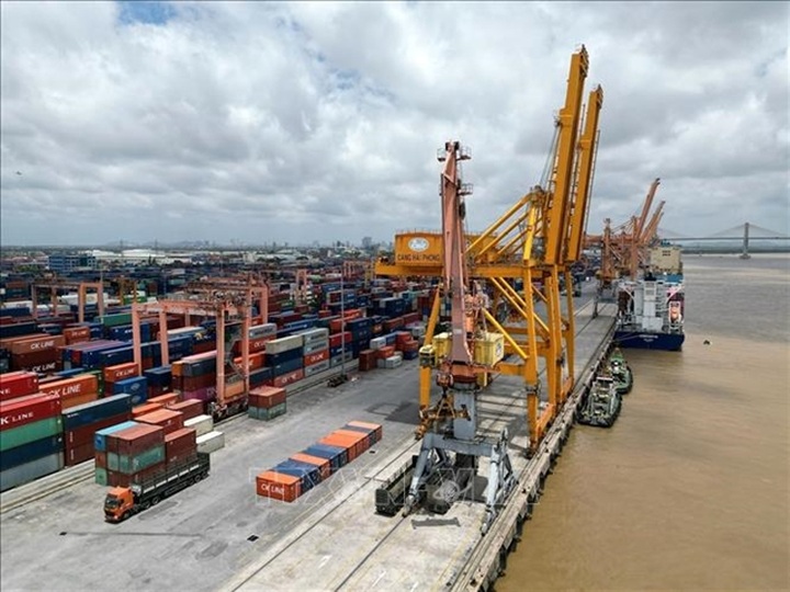 Vietnamese firms should be cautious to avoid fraud in international trade - 1 Vietnamese firms should be cautious to avoid fraud in international trade - 1