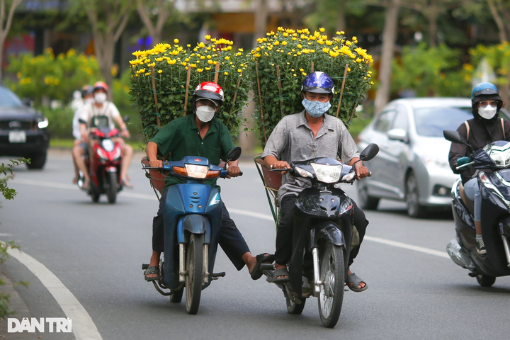 Colourful HCM City as Tet nears - 1