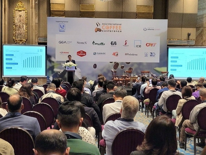 Vietnam’s coffee export volume is likely to decrease due to lower output - 1 Vietnam’s coffee export volume is likely to decrease due to lower output - 1