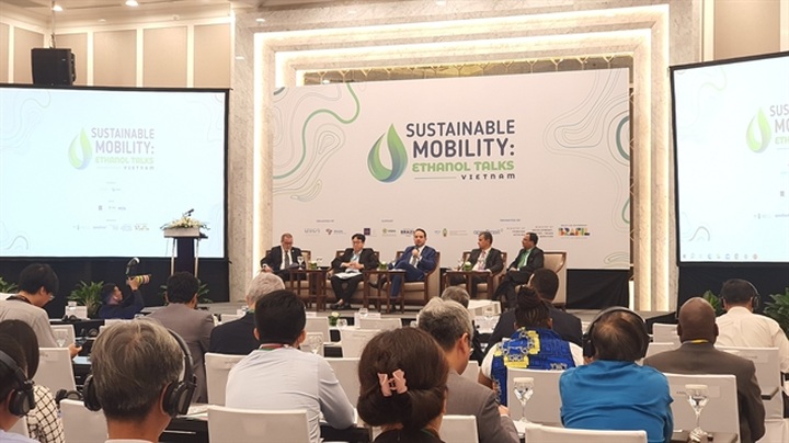 Vietnam has great potential for biofuel: experts - 1 Vietnam has great potential for biofuel: experts - 1