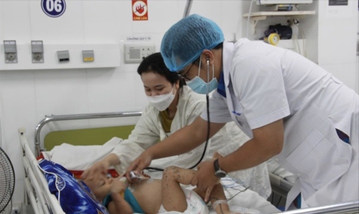 HCM City: hand, foot and mouth disease, dengue fever cases on the rise - 1