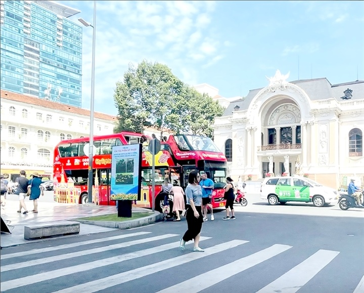 HCM City to expand tourist bus services to District 5, 6, Thủ Đức City - 1