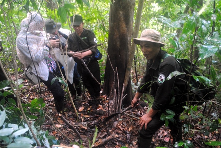 Labour-intensive removal efforts to stop snaring crisis in the Southeast Asian - 1
