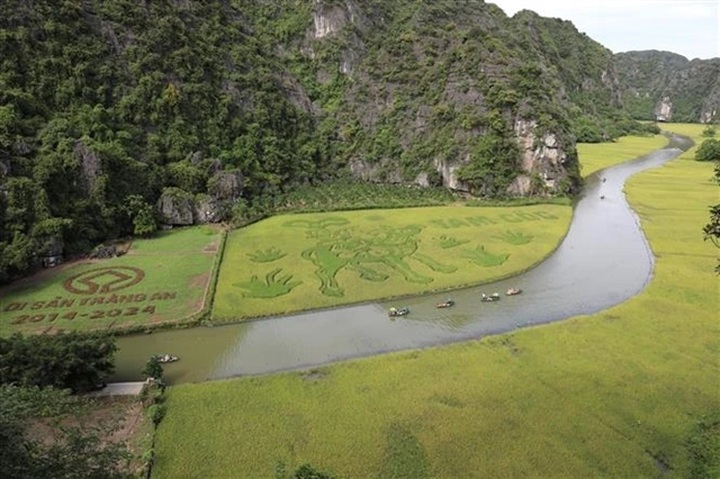 Ninh Bình tour among world’s best experiences: TripAdvisor - 1 Ninh Bình tour among world’s best experiences: TripAdvisor - 1