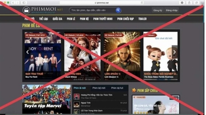 Vietnam among countries with high copyright infringement rates: experts - 1 Vietnam among countries with high copyright infringement rates: experts - 1