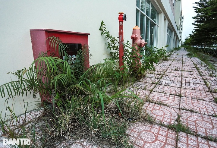 Thousands of apartments face slow sales in Thu Thiem Urban Area - 6