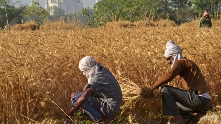 Climate talks test global resolve on warming - 1