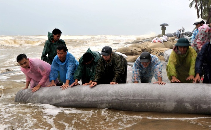 Nearly 100 people join in saving Hoi An beach from erosion - 1