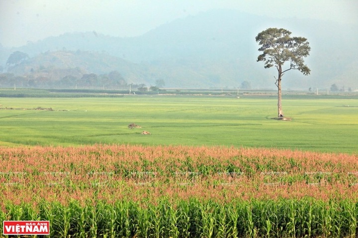 Ancient village where M’nong culture is preserved - 4