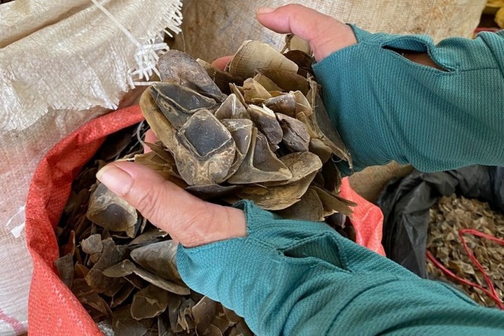 Two people prosecuted for trading pangolin scales - 2 Two people prosecuted for trading pangolin scales - 2