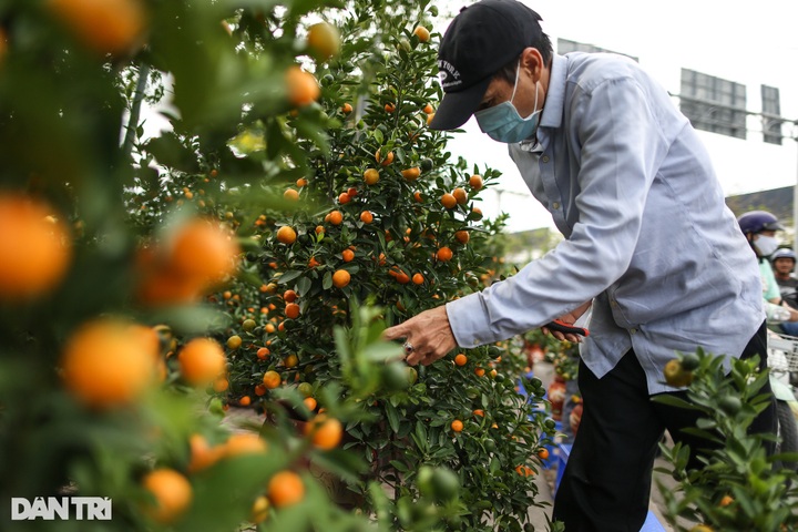 Colourful HCM City as Tet nears - 2