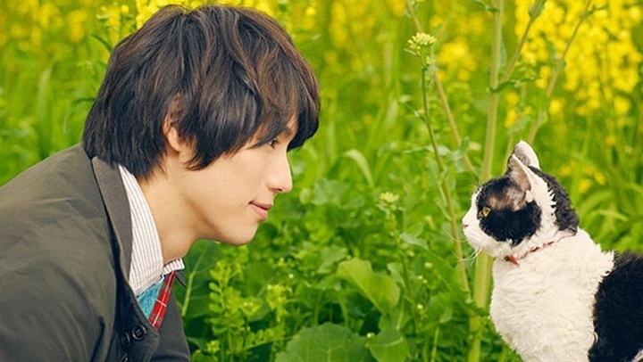 Japanese films to be screened in Vietnam - 1