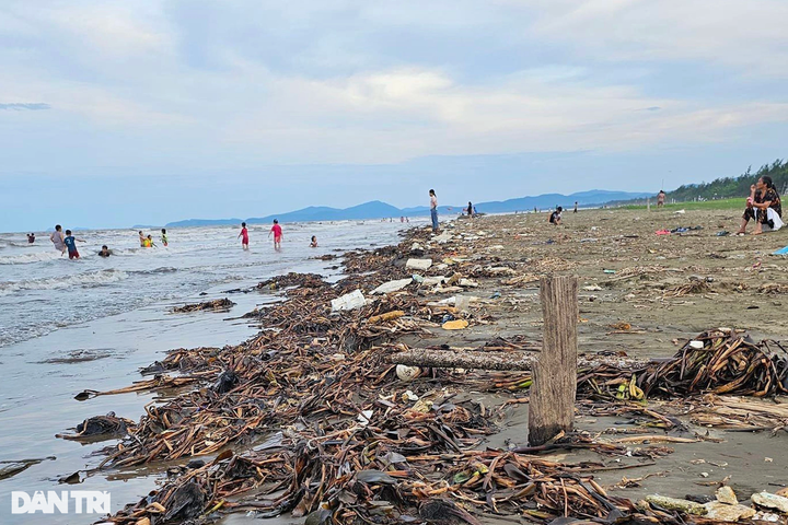 Rubbish blankets Nghe An beaches - 1 Rubbish blankets Nghe An beaches - 1