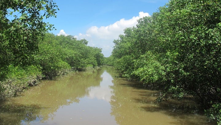 Vietnam establishes Thai Thuy wetland as a nature reserve - 1 Vietnam establishes Thai Thuy wetland as a nature reserve - 1