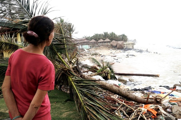Hoi An beaches further devastated by storms - 5 Hoi An beaches further devastated by storms - 5