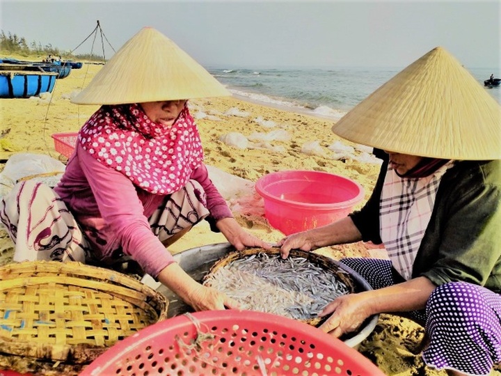 Quang Nam fishing port bustling with activities - 5 Quang Nam fishing port bustling with activities - 5