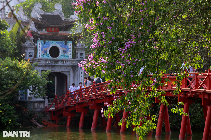 Iconic Hanoi lake wreathed with colourful summer flowers - 7