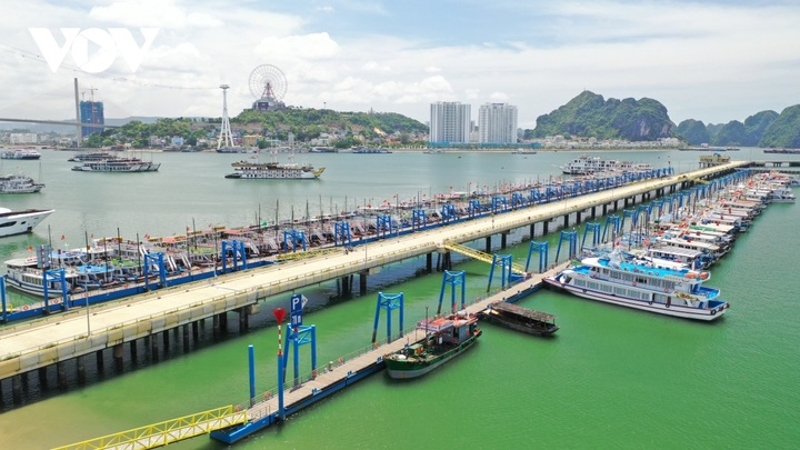 Ha Long tourist boat owners call for government help - 1 Ha Long tourist boat owners call for government help - 1