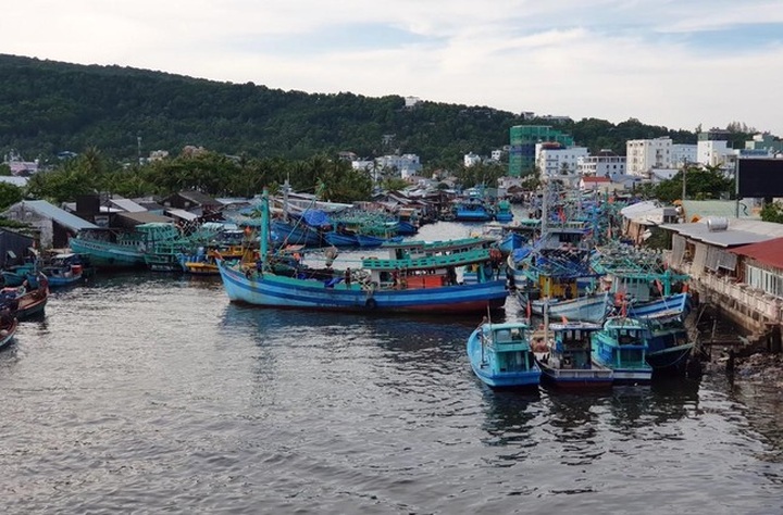 Phu Quoc seeking measures for Duong Dong river pollution - 1 Phu Quoc seeking measures for Duong Dong river pollution - 1