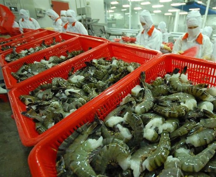 Vietnam to promote shrimp exports to EU next year - 1