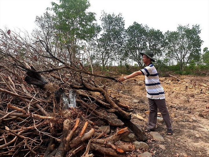 Severe droughts ravaging Dak Lak - 2 Severe droughts ravaging Dak Lak - 2