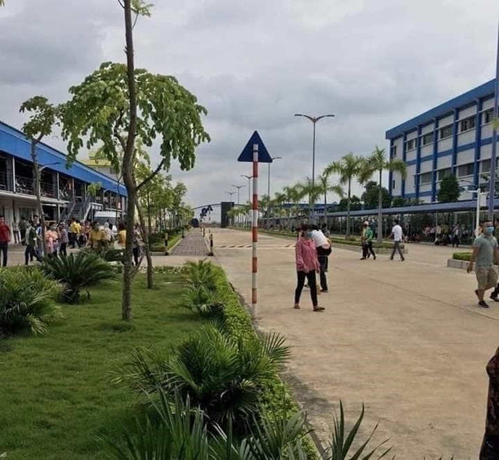 Foreign-invested firm workers hospitalised - 1